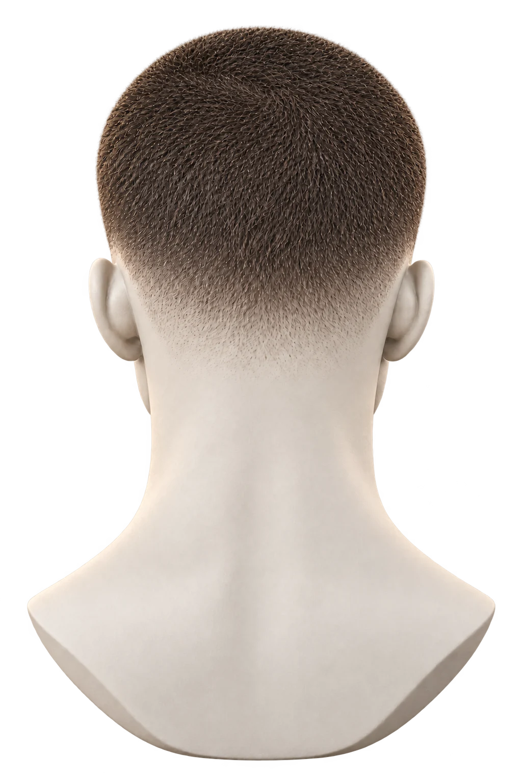 Buzz cut από πίσω