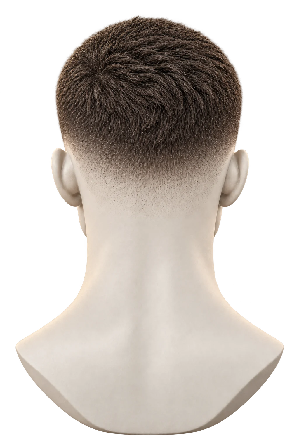 Crew cut από πίσω
